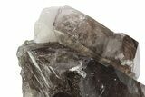Lustrous Smoky Elestial Quartz - Brazil #238101-2